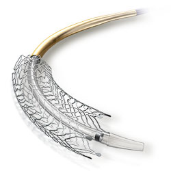 Absolute Pro™ Vascular Self-Expanding Stent System